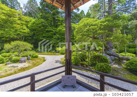 曼殊院門跡　新緑の季節　鶴島　亀島（京都市左京区一乗寺） 103421057