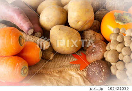 秋野菜と果物　旬　秋の味覚　芋　キノコ　いろいろ　多種類 103421059