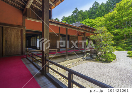 曼殊院門跡　新緑の季節　庭園（京都市左京区一乗寺） 103421061