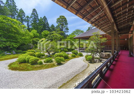 曼殊院門跡　新緑の季節　庭園　亀島（京都市左京区一乗寺） 103421062