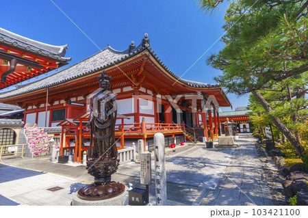 六波羅蜜寺 新緑の季節(京都市東山区轆轤町) 六波羅蜜寺 新緑の季節(京都市東山区轆轤町) 103421100
