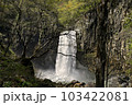新潟県の苗名滝 103422081