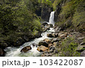 新潟県の苗名滝 103422087