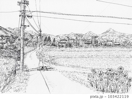 田植えが終わった初夏の田んぼ 103422119