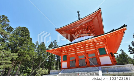 高野山金剛峯寺・根本大塔（和歌山県伊都郡高野町）動画あり 103422165