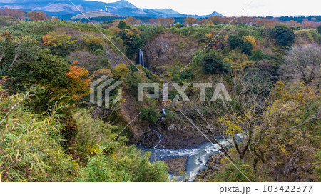 紅葉に染まる白糸の滝パノラマ風景(数鹿流ヶ滝展望台から観える風景)「南阿蘇村立野」 103422377