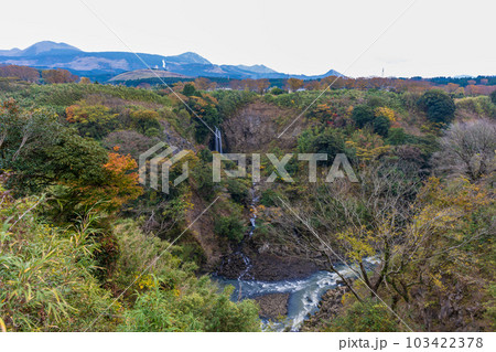 紅葉に染まる白糸の滝パノラマ風景(数鹿流ヶ滝展望台から観える風景)「南阿蘇村立野」 103422378