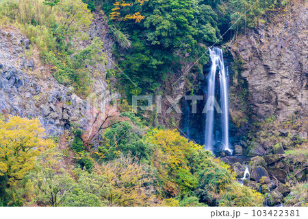 紅葉に染まる白糸の滝パノラマ風景(数鹿流ヶ滝展望台から観える風景)「南阿蘇村立野」 紅葉に染まる白糸の滝パノラマ風景(数鹿流ヶ滝展望台から観える風景)「南阿蘇村立野」 103422381