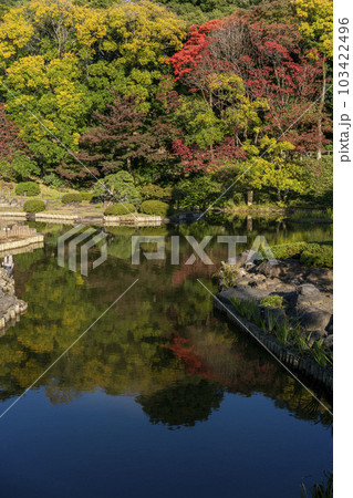 日本庭園の池に映る紅葉・肥後細川庭園・文京区 日本庭園の池に映る紅葉・肥後細川庭園・文京区 103422496