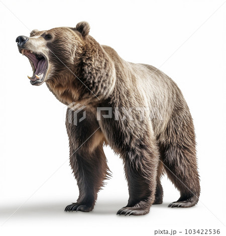 たぬき 白背景 AI生成画像 ジェネレーティブAI たぬき 白背景 AI生成画像 ジェネレーティブAI 103422536