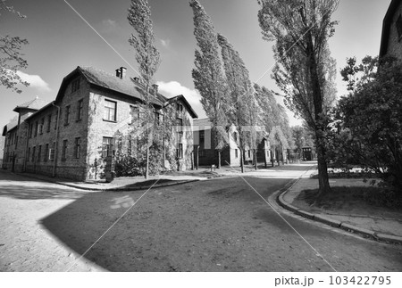 concentration camp in auschwitz oswiecim in poland 103422795