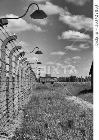 concentration camp in auschwitz oswiecim in poland 103422803
