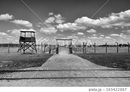 concentration camp in auschwitz oswiecim in poland 103422807