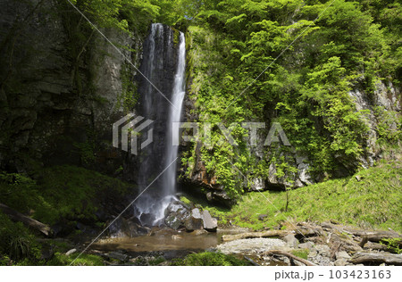 逆水の滝（兵庫県宍粟市波賀町） 103423163