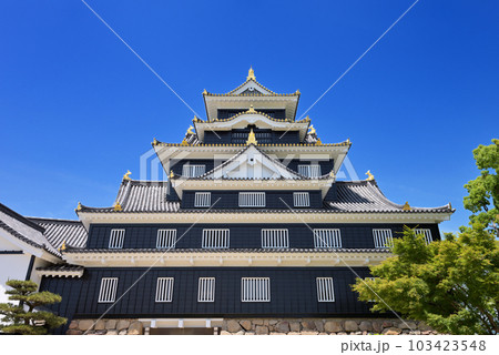 岡山城 天守閣（岡山県岡山市） 103423548