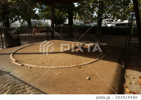 氷川の杜公園　土俵 103424480