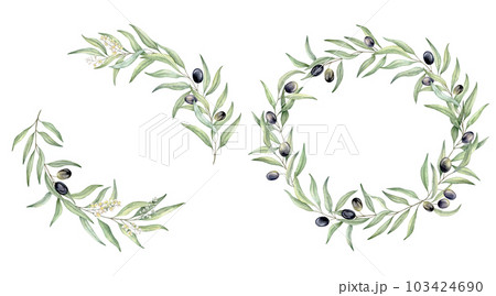 Set of green leaf branches wreaths. Olive berries, greenery foliage, Botanical design element. Hand drawn watercolor illustration for cosmetic branding, greeting card, wedding invitation, pack Set of green leaf branches wreaths. Olive berries, greenery foliage, Botanical design element. Hand drawn watercolor illustration for cosmetic branding, greeting card, wedding invitation, pack 103424690