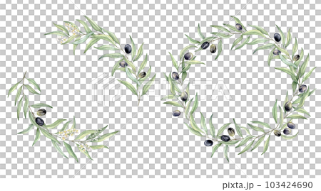 Set of green leaf branches wreaths. Olive berries, greenery foliage, Botanical design element. Hand drawn watercolor illustration for cosmetic branding, greeting card, wedding invitation, pack Set of green leaf branches wreaths. Olive berries, greenery foliage, Botanical design element. Hand drawn watercolor illustration for cosmetic branding, greeting card, wedding invitation, pack 103424690