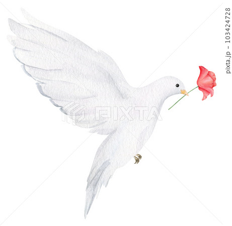 Hand drawn white dove with red poppy flower. Watercolor design element for Remembrance Day, Anzac Day. Hand drawn white dove with red poppy flower. Watercolor design element for Remembrance Day, Anzac Day. 103424728