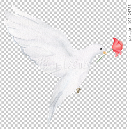 Hand drawn white dove with red poppy flower. Watercolor design element for Remembrance Day, Anzac Day. Hand drawn white dove with red poppy flower. Watercolor design element for Remembrance Day, Anzac Day. 103424728