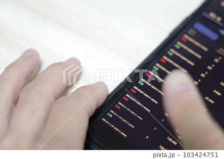 ミニオプション取引 103424751