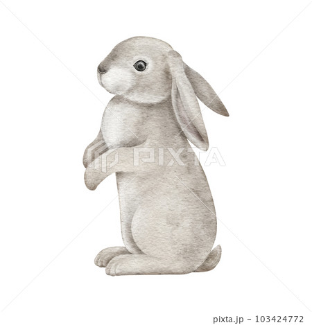 Bunny Sketch | TikTok