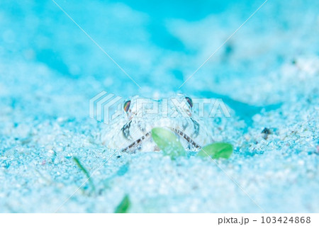 潜む 潜む 103424868