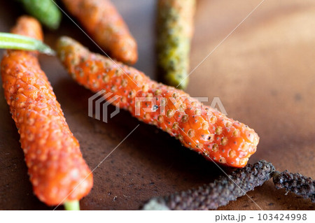 ヒハツモドキ 103424998