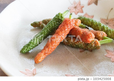 ヒハツモドキ 103425008