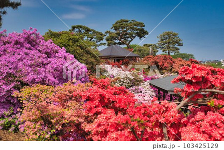 目を見張る尾根からの景色 103425129