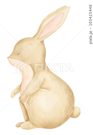 Cute watercolor Bunny. Hand drawn illustration of Rabbit on white isolated background for baby shower greeting cards or invitations. Drawing of woodland little Hare for kid poster in pastel colors. 103425448