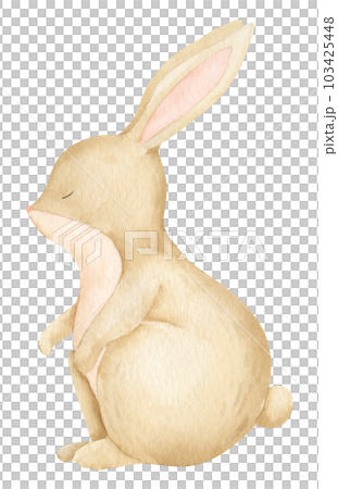 Cute watercolor Bunny. Hand drawn illustration of Rabbit on white isolated background for baby shower greeting cards or invitations. Drawing of woodland little Hare for kid poster in pastel colors. 103425448