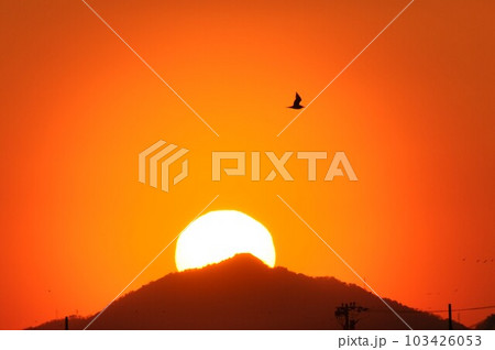 夕焼けの空と沈む夕日と鳥 夕焼けの空と沈む夕日と鳥 103426053