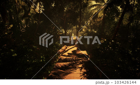 walk through the hazy depths of the jungle walk through the hazy depths of the jungle 103426144