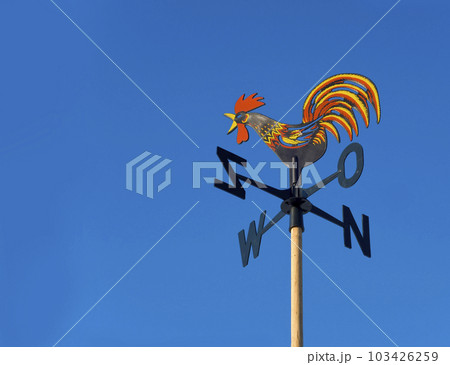 wind vane to indicate the wind direction and the metal cock above the arrow and cardinal points North East South West 103426259