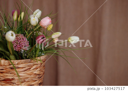 Wicker basket filled with tulips Wicker basket filled with tulips 103427517