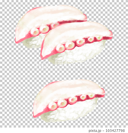 寿司のイラスト　たこ 103427798