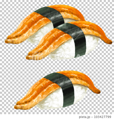 寿司のイラスト　穴子 103427799