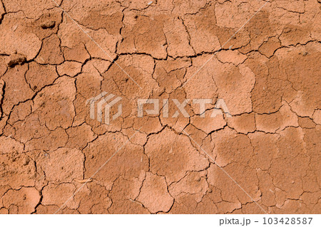 There is large crack in ground texture after long period of drought. 103428587