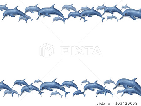 Watercolor horizontal frame with swimming dolphins isolated on white background. Illustration marine style with for postcard design, different invitation template 103429068
