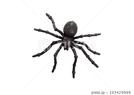 Black rubber spider toy isolated on a white background. Black spider toy 103429999