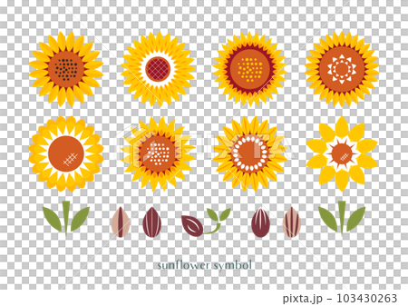 Sunflower flower illustration set (sunflower seeds, buds, leaves) yellow 103430263
