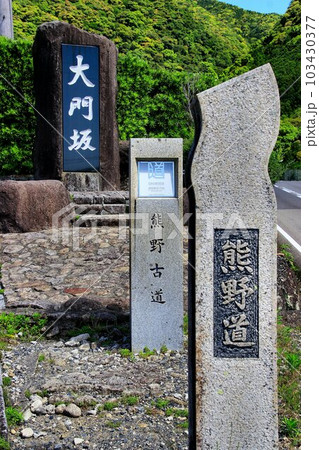 苔むした石段と樹齢800年を越す老杉並木…熊野古道『大門坂』 苔むした石段と樹齢800年を越す老杉並木…熊野古道『大門坂』 103430377