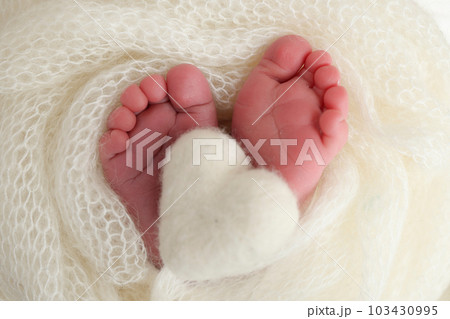 The tiny foot of a newborn baby. Soft feet of a new born in a white wool blanket. Close up of toes, heels and feet of a newborn. Knitted white heart in the legs of a baby. Macro photography The tiny foot of a newborn baby. Soft feet of a new born in a white wool blanket. Close up of toes, heels and feet of a newborn. Knitted white heart in the legs of a baby. Macro photography 103430995