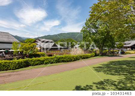 道の駅川場　田園プラザ 103431463