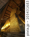 タイ　バンコク　ワット・ポーの涅槃像　裏側 103431683