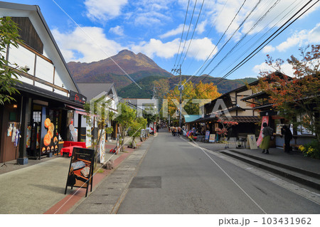 秋の湯の坪街道と由布岳 秋の湯の坪街道と由布岳 103431962