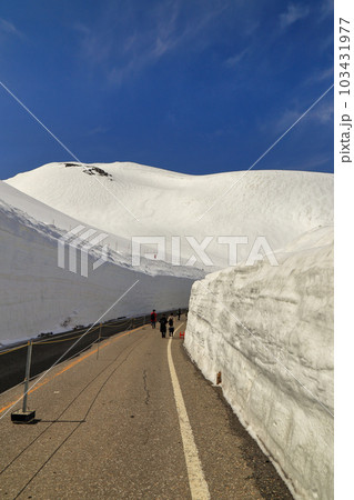 立山黒部 雪の大谷 ウォーキング ゾーンの風景 ( 2022/04/19 ) 立山黒部 雪の大谷 ウォーキング ゾーンの風景 ( 2022/04/19 ) 103431977