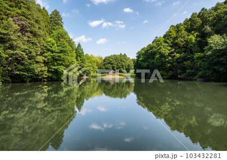 茨城県水戸市 新緑の七ツ洞公園 茨城県水戸市 新緑の七ツ洞公園 103432281