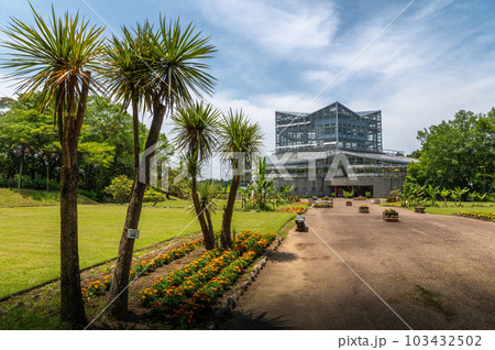 茨城県水戸市　薔薇咲き誇る初夏の茨城県植物園 103432502